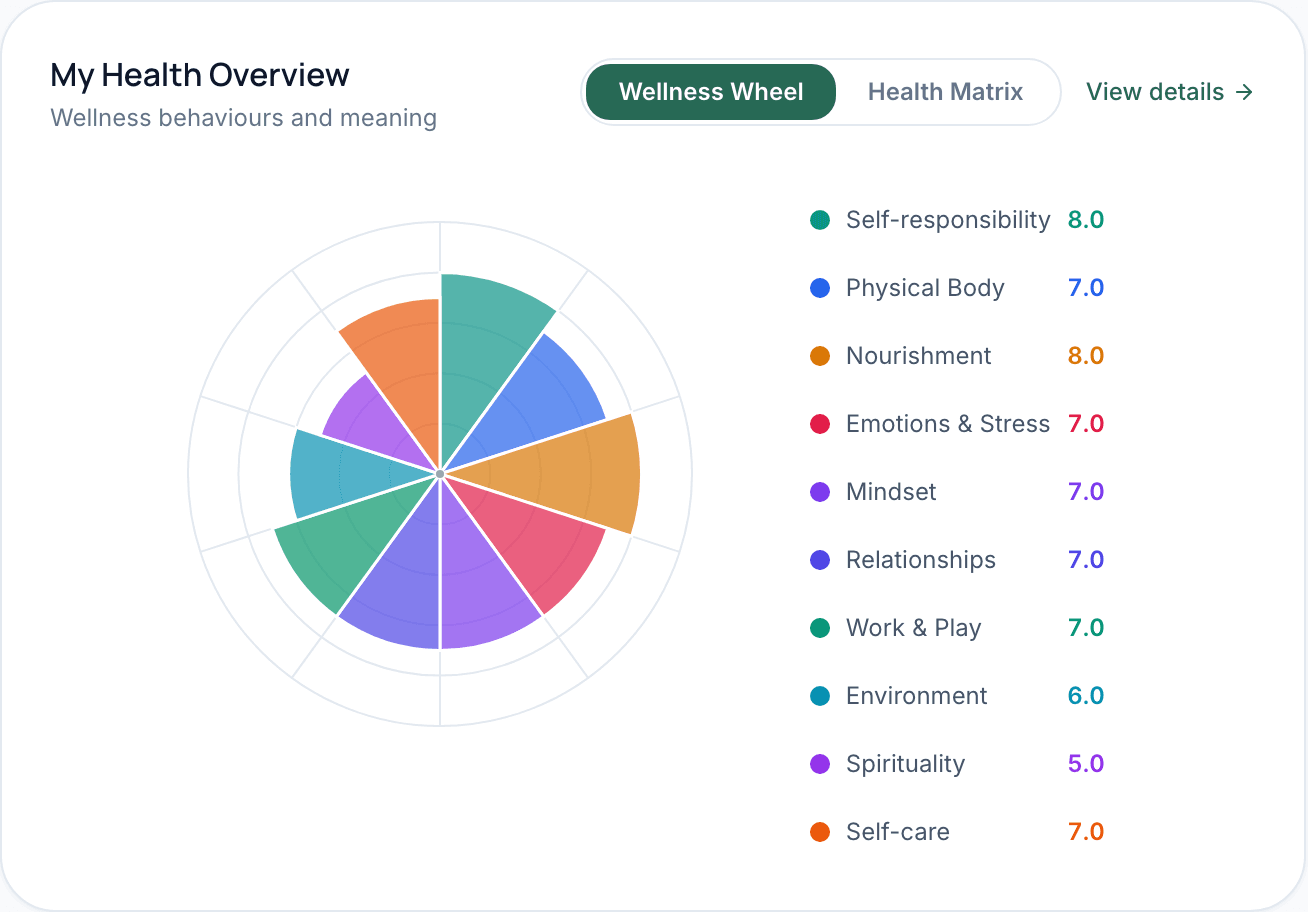 The patient’s Wheel of Life on their dashboard: ten areas of life, from self-responsibility and physical body to spirituality and self-care, each with a score out of ten